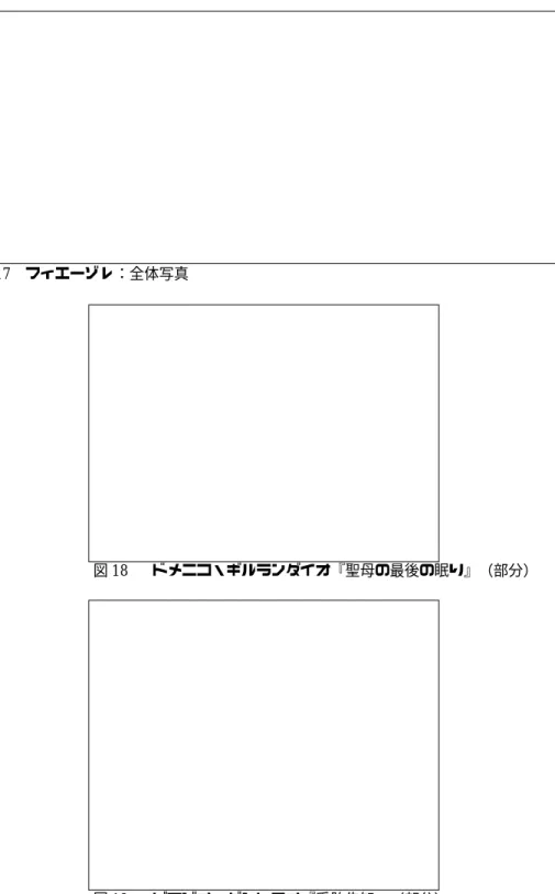 図 17  フィエーゾレ：全体写真 