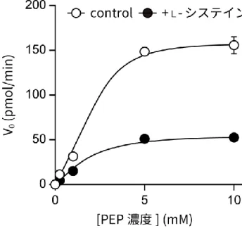 図 34  L -システインが PKM2 のピルビン酸キナーゼ活性に及ぼす影響（ミカエリス–メンテ ンプロット）    リコンビナント PKM2 を、 0、 0.25、1、 5、 10 mM のホスホエノールピルビン酸（PEP）、 0 または 59 μM の L -システインを含む反応溶液中で 20 分間おいた後、産生された ATP 量を 定量した。 PKM2 を含まない反応液における ATP 産生量をもとに値の補正を行った後、得ら れた値からミカエリス–メンテンプロットを作成した。なお、V 0 は 1 分