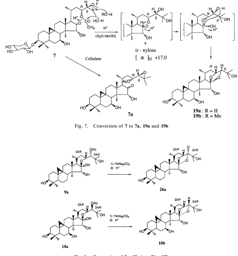 Fig. 8. Conversion of 9a, 10a into 26a, 10b