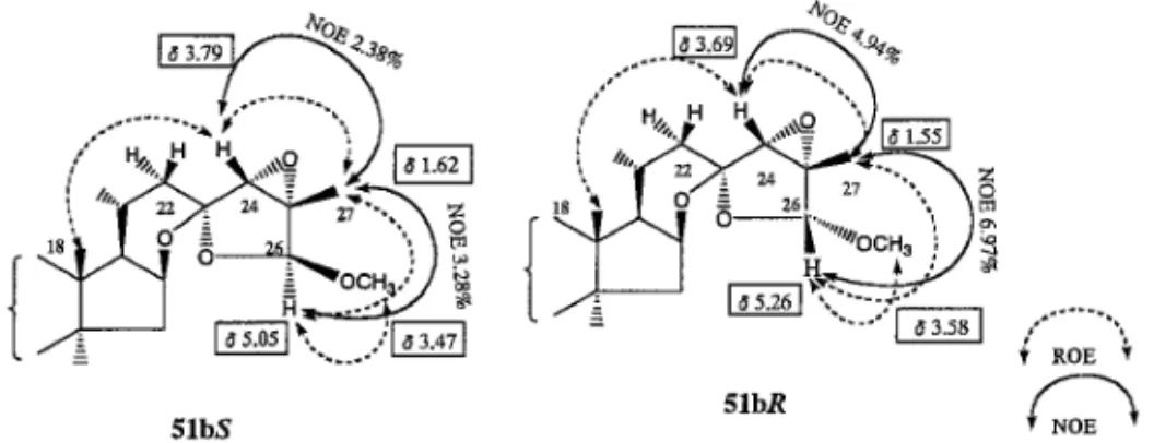 Fig. 13. ROEs and NOEs in the D-Ring and Side-Chain Moieties of 25bS and 25bR