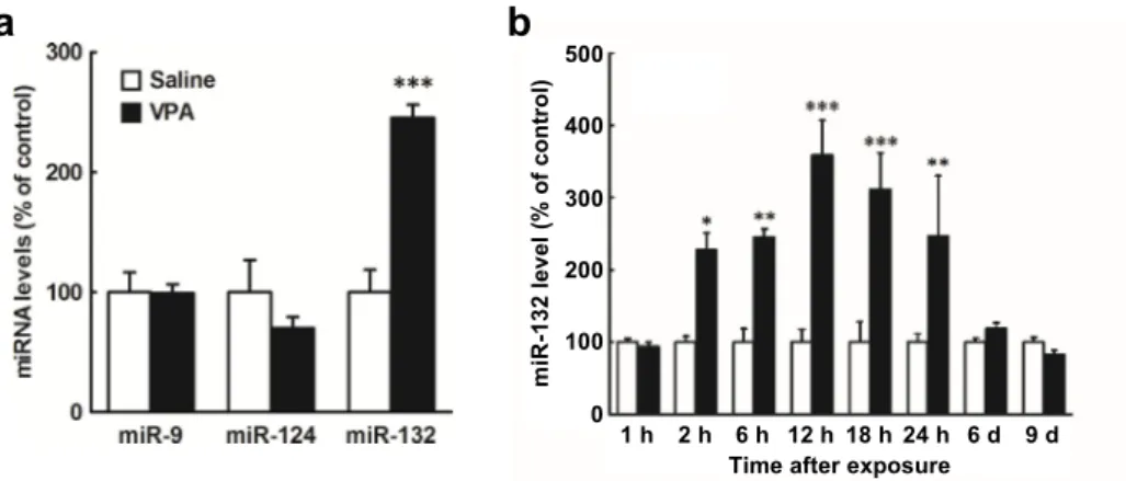 図 1 ． VPA 曝露によるマウス胎仔脳内での microRNA 発現変化