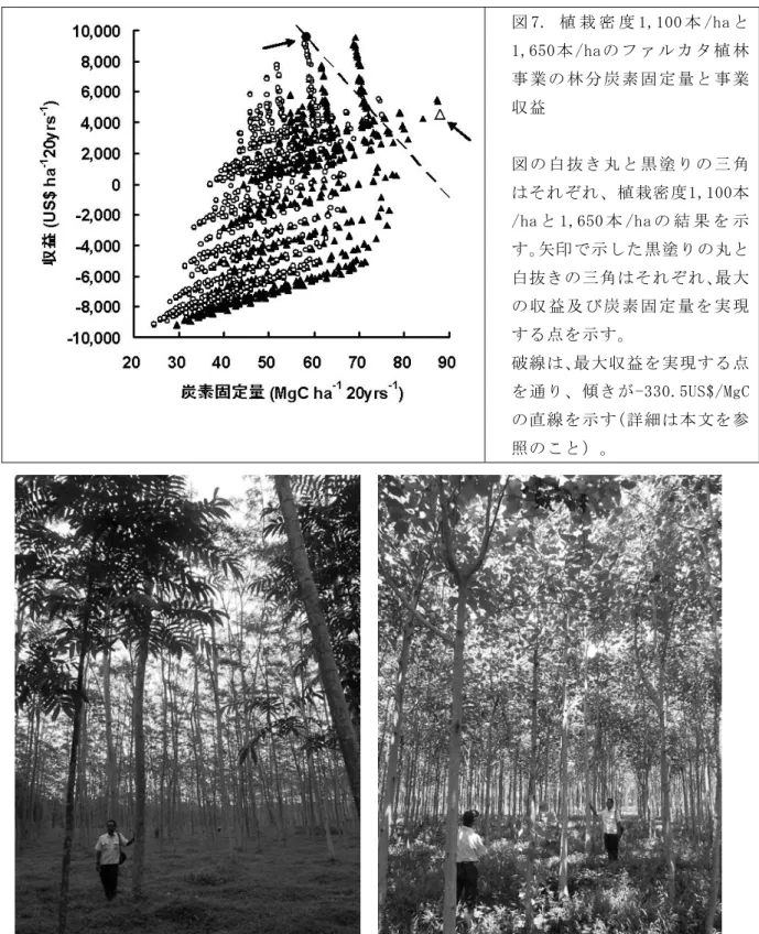 図 7.  植 栽 密 度 1,100 本 /ha と 1,650本 /haの フ ァ ル カ タ 植 林 事 業 の 林 分 炭 素 固 定 量 と 事 業 収益  図 の 白 抜 き 丸 と 黒 塗 り の 三 角 はそれぞれ、植栽密度1,100本 /ha と 1,650 本 /ha の 結 果 を 示 す。矢印で示した黒塗りの丸と 白抜きの三角はそれぞれ、最大 の 収 益 及 び 炭 素 固 定 量 を 実 現 する点を示す。  破線は、最大収益を実現する点 を通り、傾きが-330.5US$/MgC 