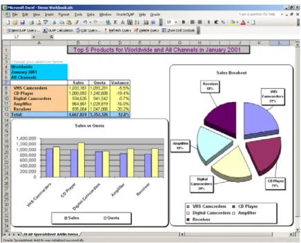 図 1 ： OLAP データと Microsoft Excel グラフを使用した Oracle Spreadsheet Add-In レポート