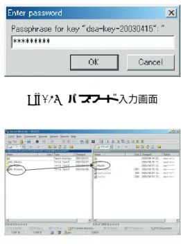 Fig. 22 のように， Host name に mikilab，User name に自分のアカウント，Private key ﬁle に先ほど 作成した 秘密鍵を選択する（ putty のフォルダの中の id dsa.PPK というファイル ）．なお，ここではリモート ホストを mikilab として説明している． Fig