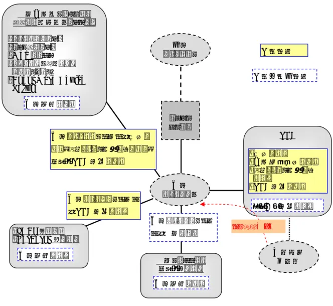 図  5  保護資産と保護対象外資産 