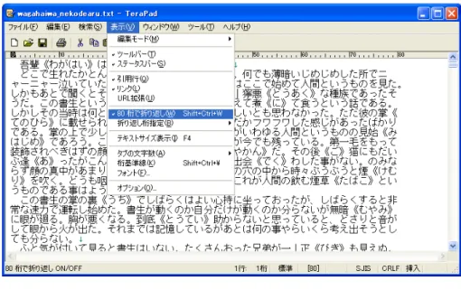 図 2 80 桁で折り返し
