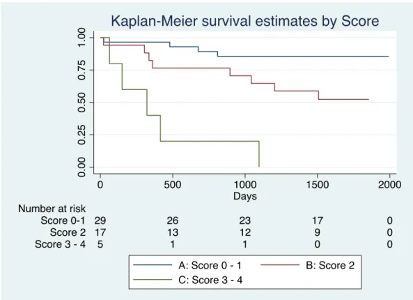 Figure 6. Kaplan-Meier survival curve by the new model 