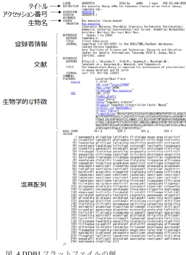 図  4 DDBJ フラットファイルの例 