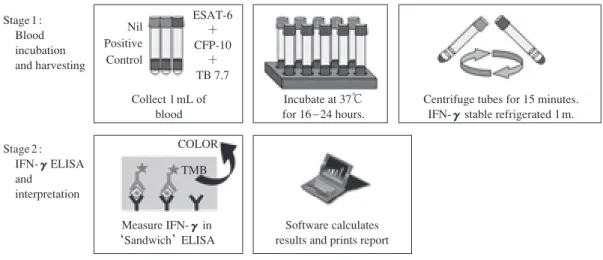 Fig. 1 Assay system of QFT-3G. In stage 1, blood can be taken into blood collection tubes exclusive to the QFT-3G test. After mixing  blood collection tubes and incubating tubes for 16 to 24 hours, produced IFN-γ γ in plasma is measured  by ELISA in stage 