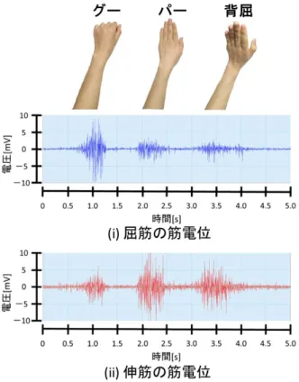 図 4 ハンディ・オシロスコープの出力 き，手首を外側に曲げたときは屈筋が弛緩し，伸筋が収縮 するので伸筋の電位差の振幅が大きくなった．以上の結果 より，製作した筋電位測定システムは正常に機能している と考えられる． 4 手の動きの判定 4.1 判定方法 手を握る ( グー ) ，手を開く ( パー ) ，手首を外側に曲げる ( 背屈 ) 動作をそれぞれ 1 秒に 1 回ずつ 10 秒間行い，この ときの屈筋と伸筋の筋電位を Arduino を用いて同時に測 定する．例として，グーの動作をしたときの屈筋の筋
