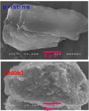 Fig. 10 SEM images of pristine(upper) and Li 1.5 Ni 0.75 PO 4