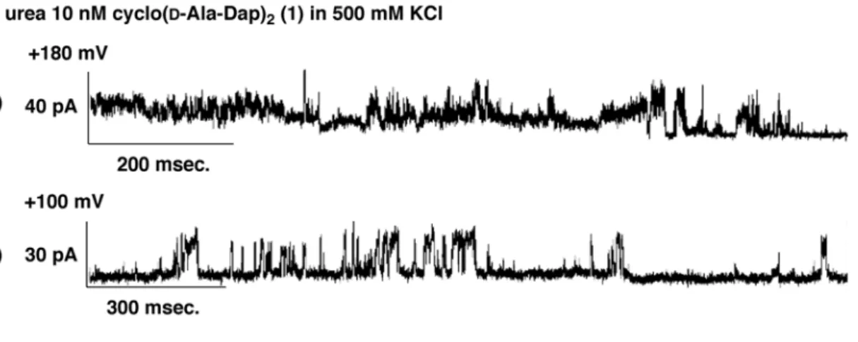 Figure 2-8:  Ion channel recording of 8 M urea 10 nM cyclo( D -Ala-Dap) 2  (1) in 500 mM  KCl solution under specific electrical potential