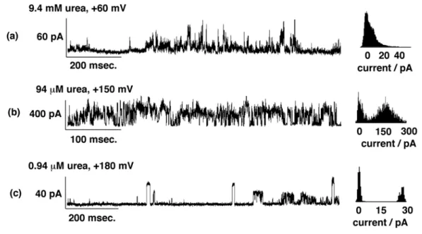 Figure 2-9:  Ion channel recording of 0.94 µM, 94 µM, and 9.4 mM urea 10 nM cyclo( D - -Ala-Dap) 2  (1) in 500 mM KCl solution under specific electrical potential