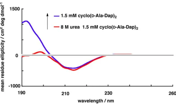 Figure  2-10:    CD spectra  of  1.5  mM  cyclo( D -Ala-Dap) 2   (1)  co-existed  8  M  urea  in 50  mM phosphate buffer (pH 7.4).