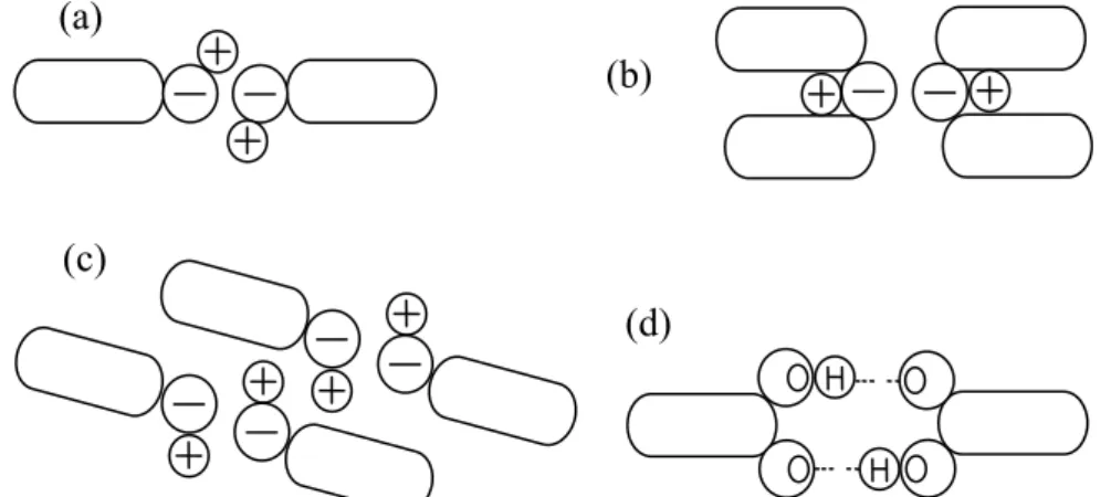 Figure 1.  Dipole and hydrogen bond interactions.  A schematic representation of (a) 