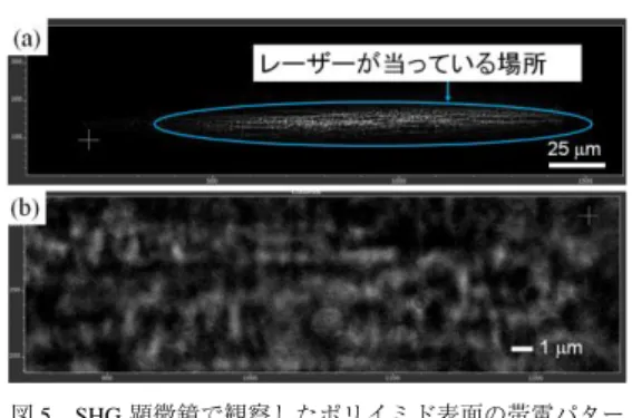 図 5 SHG 顕微鏡で観察したポリイミド表面の帯電パター ン．(a) SHG で可視化した帯電パターン．(b) 拡大し たパターン