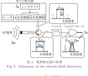 図 3 電界検出部の原理