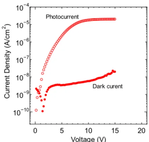 図 7 厚さ 50 nm の SubNc を用いたセルの量子効率及