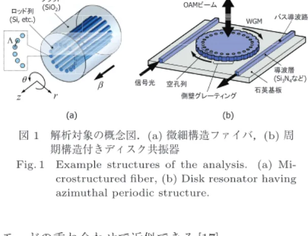 Fig. 1 Example structures of the analysis. (a) Mi- Mi-crostructured ﬁber, (b) Disk resonator having azimuthal periodic structure.