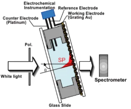 図 11 電気化学セルを用いた T-SPR 測定系 Fig. 11 T-SPR measuring system using 