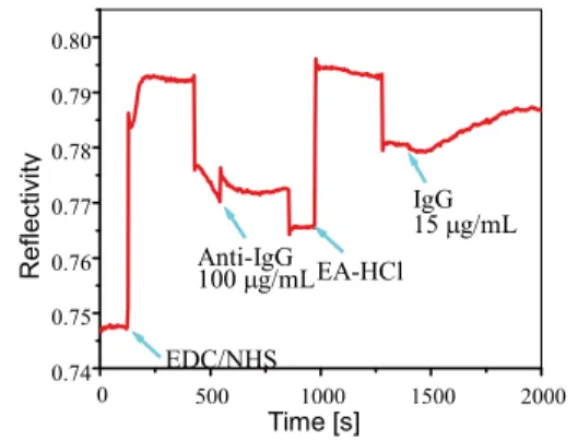 図 15 EDC/NHS，Anti-IgG，EA-HCl，IgG を導入し たときの 51 . 5 ◦ での LR-SPR の反射率変化 Fig. 15 Change of reﬂectivity at 51 