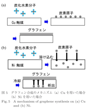 Fig. 5 A mechanism of graphene synthesis on (a) Cu and (b) Ni. 4. 3 Ni 触媒の膜厚の影響 熱 CVD を用いたグラフェンの合成では，金属の種 類によって合成のメカニズムが異なる． Cu と Ni そ れぞれのメカニズムを図 5 (a) ， (b) に示す． Cu を触 媒に用いた場合，メタンなど原料ガスから供給された 炭素が Cu 表面で結合しグラフェンを作る．一方 Ni の場合，原料ガスから炭素がいったん Ni 中に固溶し， 冷却ととも