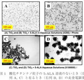 図 1 酸化チタンナノ粒子の 5-ALA 溶液のないとき（左