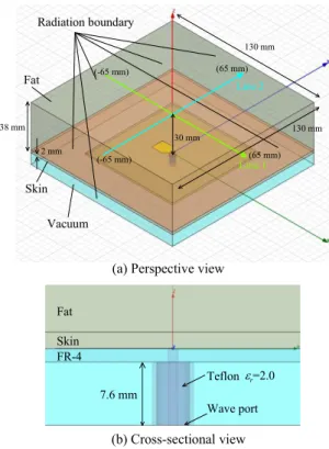 Fig. 3 Analysis model of a pentagonal patch antenna for body diagnostic (Ansys HFSS Ver.11).