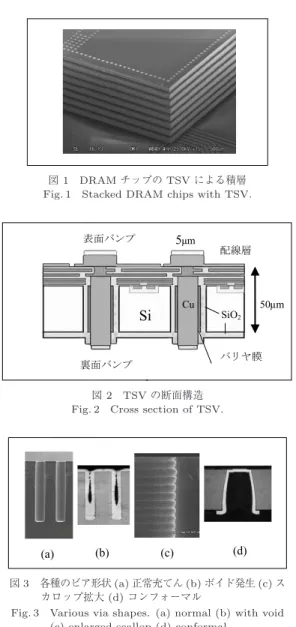 図 2 TSV の断面構造 Fig. 2 Cross section of TSV.