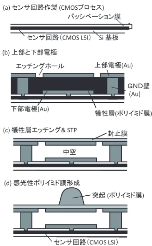 図 4 MEMS 指紋センサのプロセスフロー Fig. 4 Fabrication process flow of the MEMS structure.