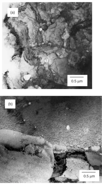 Fig. 9 Typical electron beam diffractions of ZrO 2 particles in ODS (a) before heating and (b)  after heating. After heating some particles in ODS were identified as tetragonal while before heating most of the particles were identified as monoclinic.