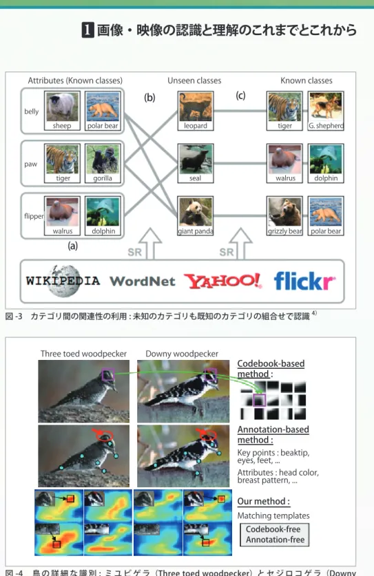 図 -4　 鳥 の 詳 細 な 識 別 :  ミ ユ ビ ゲ ラ（Three toed woodpecker） と セ ジ ロ コ ゲ ラ（Downy  woodpecker）が識別できるという 5）