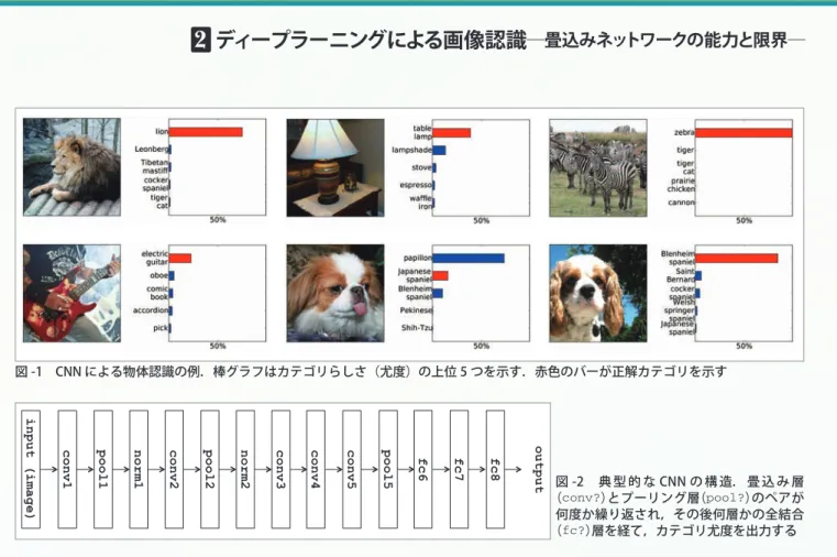 図 -2　 典 型 的 な CNN の 構 造． 畳 込 み 層