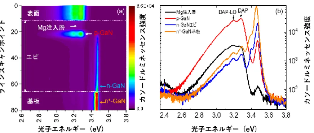 図 4 Mg イオン注入 GaN の STEM 解析結果 (a,b) 及び APT 解析結果 (c,d) 。 （ a,c ） Mg 注入量 1x10 18 cm -3 、 （ b,d） Mg 注入量 1x10 19  cm -3 。熱処理温度はいずれも 1300 ℃。 