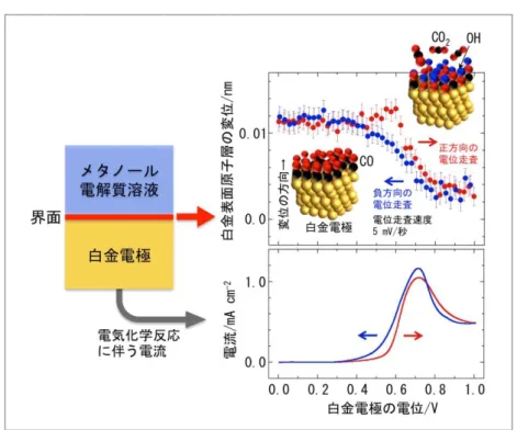 図 2 メタノール電気分解での白金電極の表面原子の位置変化（右上）と  電極から流れる電流の変化（右下）  白金電極の電位を正方向と負方向に走査したときの変化を示す。 ■ 今後の予定 ■  今後は、燃料電池電極の劣化過程の観察や、蓄電池の界面反応過程の観察を行う。また、固体 と固体の界面への応用も進め、全固体蓄電池などの固体積層デバイスの界面反応過程の観察も進 める。得られた知見をデバイス開発や材料開発の現場に提供して高性能デバイスの開発に寄与す ることをめざす。  ■ 本件問い合わせ先 ■  国立研究開発