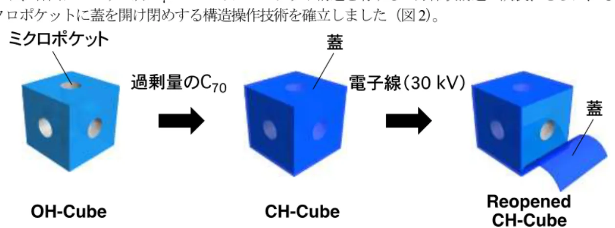 図 3. C 70 フラーレンのマイクロキューブの電子顕微鏡像。 (a–c) OH-cube、 (d) CH-cube、 (e) Reopened CH-cube 
