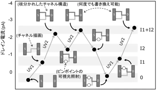 図 3.加算回路の例：紫外光によるチャネル描画と局所的な可視光照射による光バルブ機能によるさまざま
