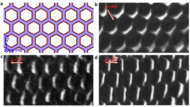 図 2：(a)  六角形転位ループの模式図  （b-d）六角形転位ループの電子顕微鏡像。ベクトルｇの 直交方向が明るい(白い)コントラストをもつ。スケールバーはともに 15nm。  図 3：(a-b) c-BN/ダイヤモンド境界面の[1-10]晶帯軸・HAADF-STEM 注 6) (c-d) c-BN/ダイヤモンド境界面の[11-2]晶帯軸・HAADF-STEM 像  （c）欠陥のない領域  (d)  欠 陥領域。部分転位が観察される。(c)と(d)の比較により、部分転位を特徴づけるバーガーズベク トルは