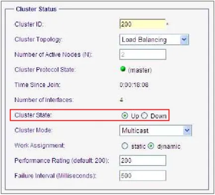 図  20 : [Cluster State]の設定 