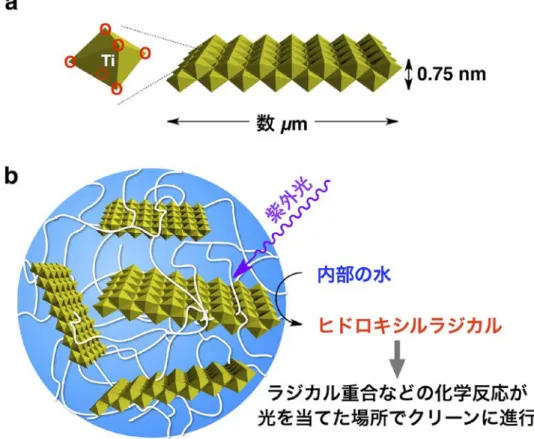 図 1  酸化チタンナノシート（a）および今回開発されたヒドロゲル（b）の構造 