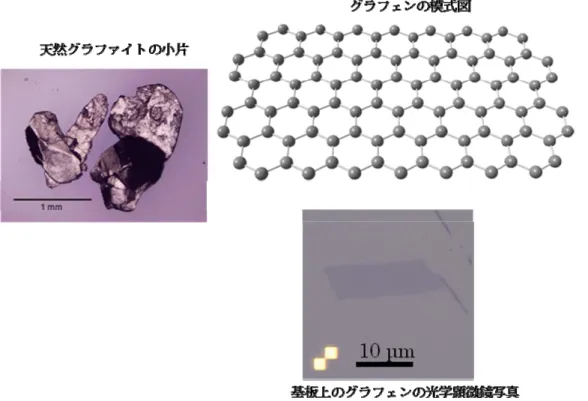図 1：(a)天然グラファイト(マダガスカル産)の小片。この小片塊を SiO 2 /Si 基板上に押しつけて引き離す と、基板上にグラフェンが残る。(b)長さ 10 ミクロン程度のグラフェン。 