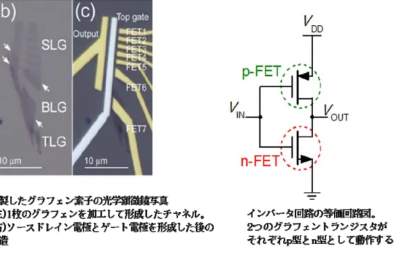 図 4：(左)2 つの素子其々のゲート電圧特性。其々の p 型と n 型の動作範囲にソースドレイン電圧を印加し て、p 型と n 型の組み合わせとして評価した。(右)得られたインバータ動作の例。入力信号に連動して主力 信号が変化する。 