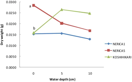 Figure 2.3.3. a  Dry weight of seedling roots part under different water levels NERICA1NERICA5 KOSHIHIKARIab 0.00000.01000.02000.03000.04000.05000.06000.07000.0800 0 5 10Dry weight (g) Water depth (cm)