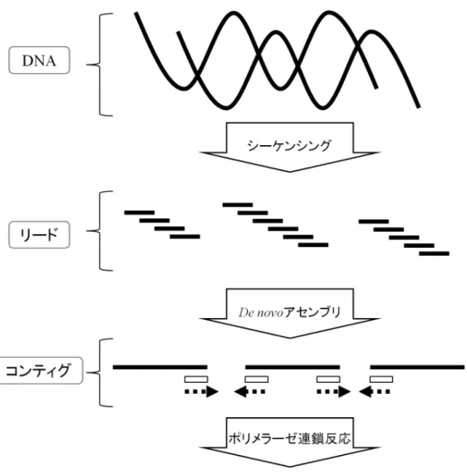 図 3. 一般的な塩基配列決定の流れ