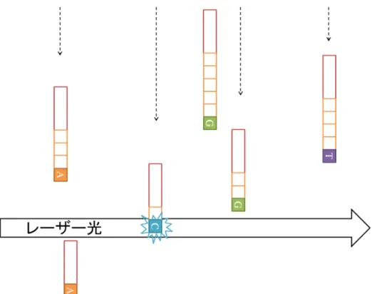 図 5. 発色による塩基配列読み取りの模式図