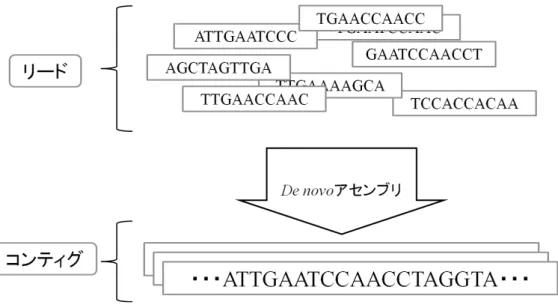 図 6. リードからアセンブリを行う流れ