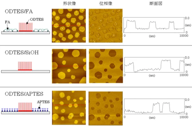 Fig.  3-25 に、 FA 除去前（ ODTES/FA ） 、 FA 除去後（ ODTES/SiOH ） 、 APTES 吸着後