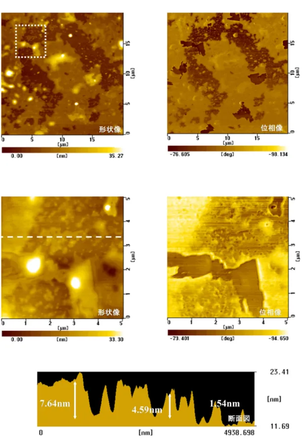 Fig. 4-1b    CH 3 表面上に形成された C12A4G 膜の AFM 観察像（洗浄後）