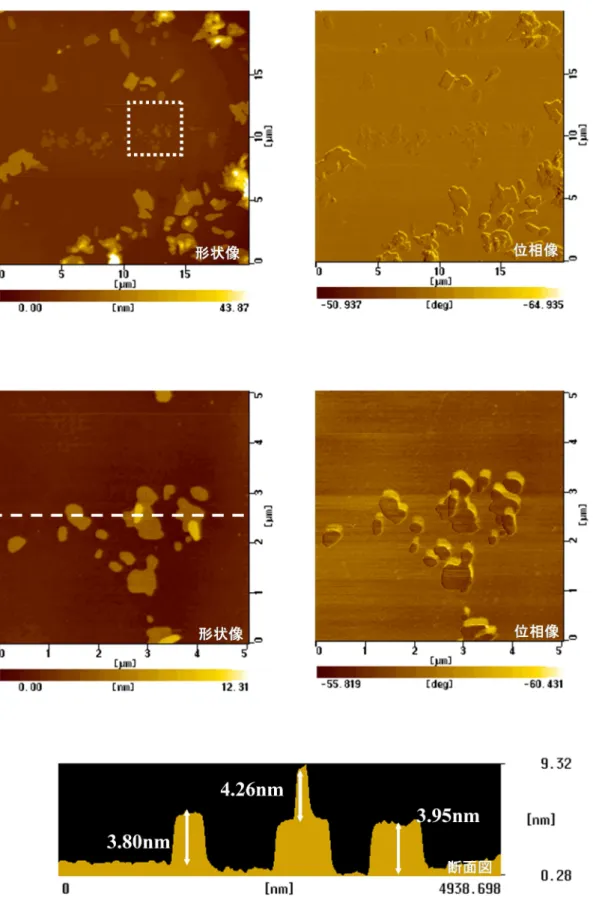 Fig. 4-1c    OH 表面上に形成された C12A4G 膜の AFM 観察像（洗浄後）