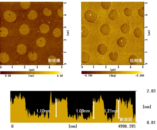 Fig. 4-2g    ODTES / NH 2 相分離表面の AFM 観察像